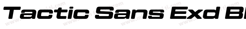 Tactic Sans Exd Blk字体转换